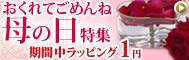 母の日特集