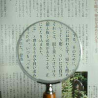 75mm Magnifier with wooden handle