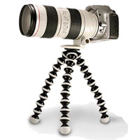 JOBY �S�����|�b�h L SLR-ZOOM ��჌�t�J�����A�r�f�I�J���������O�r