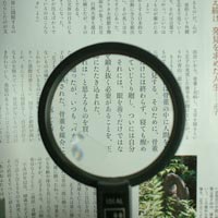 ルーペ拡大イメージ