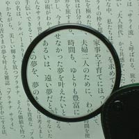 ルーペ拡大イメージ