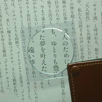 ルーペ拡大イメージ