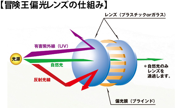 冒険王偏光レンズのしくみ