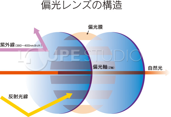 偏光レンズの構造