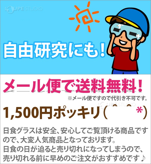 メール便で送料無料！ 