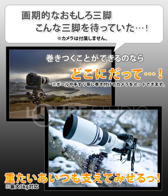 イメージ画像
