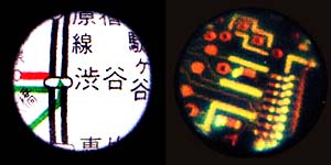 ファイバースコープ覗いたイメージ