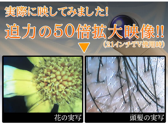 実際に映してみました!迫力の50倍拡大鏡(21インチTV使用時)