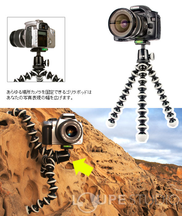 どんなとこでも、巻きつけたり、挟み込んだりして、手すりやフェンス、木の枝などなど。