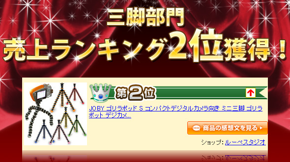 売上ランキング2位獲得 