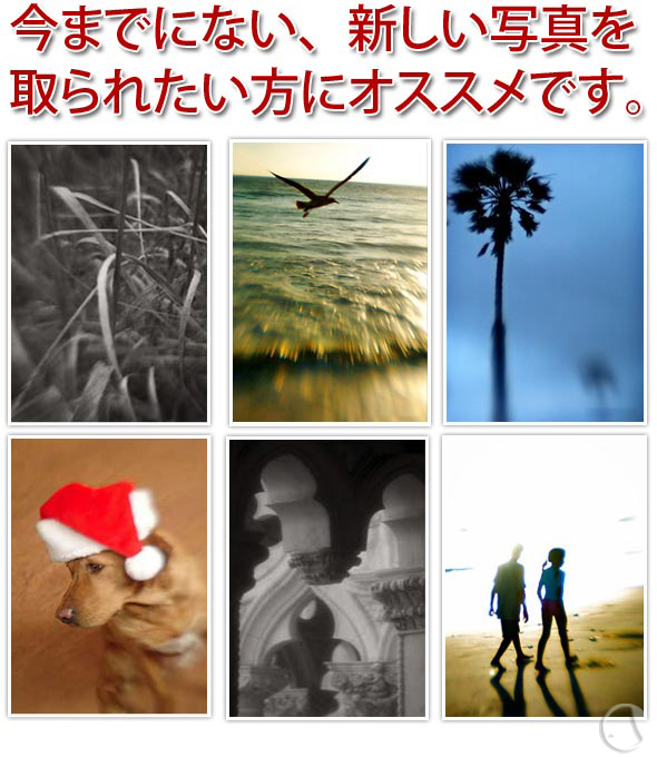 今までにない、新しい写真を取られたい方にオススメです。