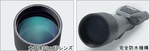 フィールドスコープ大口径80mm対物レンズショット・フィールドスコープ生活防水機構