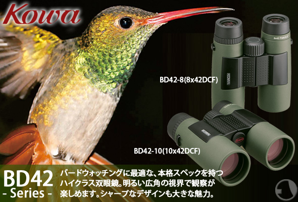 KOWA/�R�[���o�ዾ BD42-10GR[10x42DCF] �o�[�h�E�H�b�`���O 