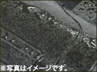 ���S�����݌v