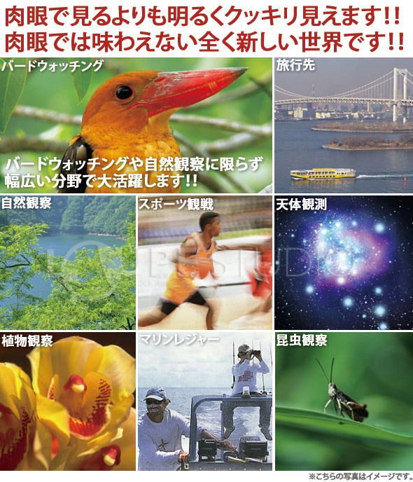 バードウォッチングや自然観察に限らず幅広い分野で大活躍します!!