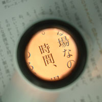 フラッシュルーペ 7倍使用例1