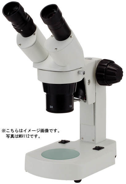 �J�[�g�� ���̌����� CCK-40 20�{40�{�g��C���[�W 