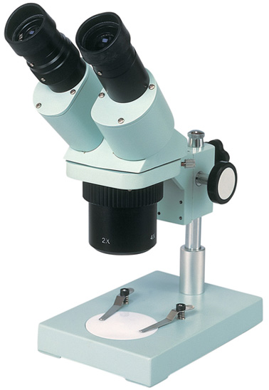 �J�[�g�� ���̌����� SCS-P 20�{40�{�g��C���[�W 