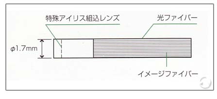 �w�b�h�̌������\ 