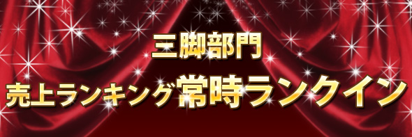 売上ランキング常時ランクイン 