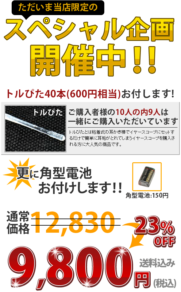 期間限定特別企画 