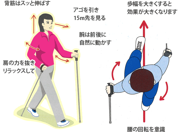 ポールウォーキングを使った歩き方