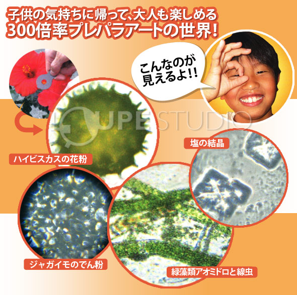 使用例