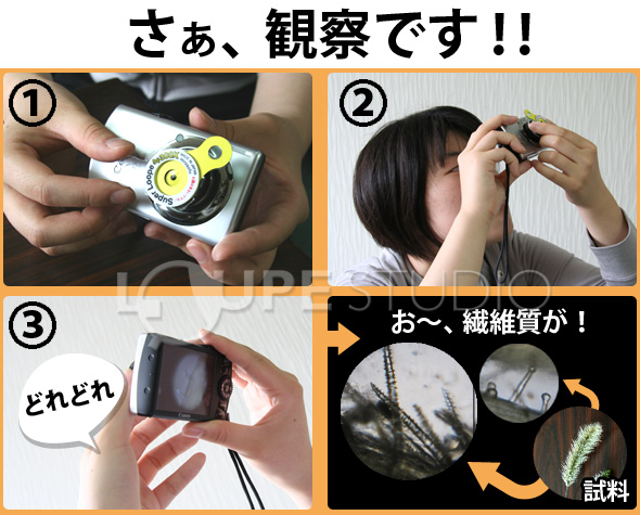 観察手順