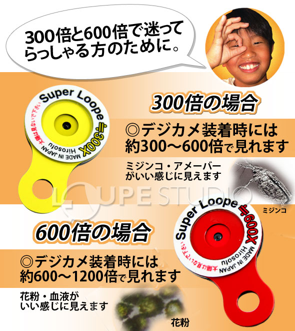 300倍と600倍について