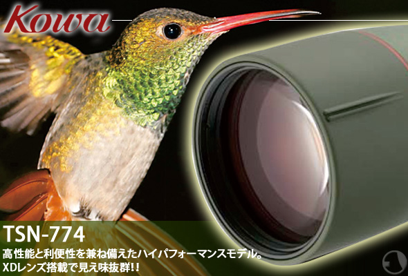 �����\�Ɨ��֐������˔������n�C�p�t�H�[�}���X���f���BXD�����Y���ڂŌ��������Q!! 