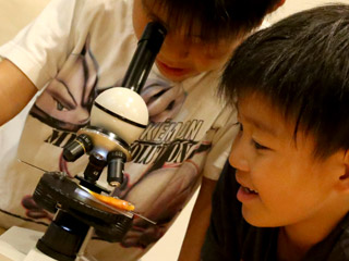 生物・植物の観察