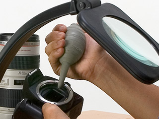 仕事場での作業・検品に