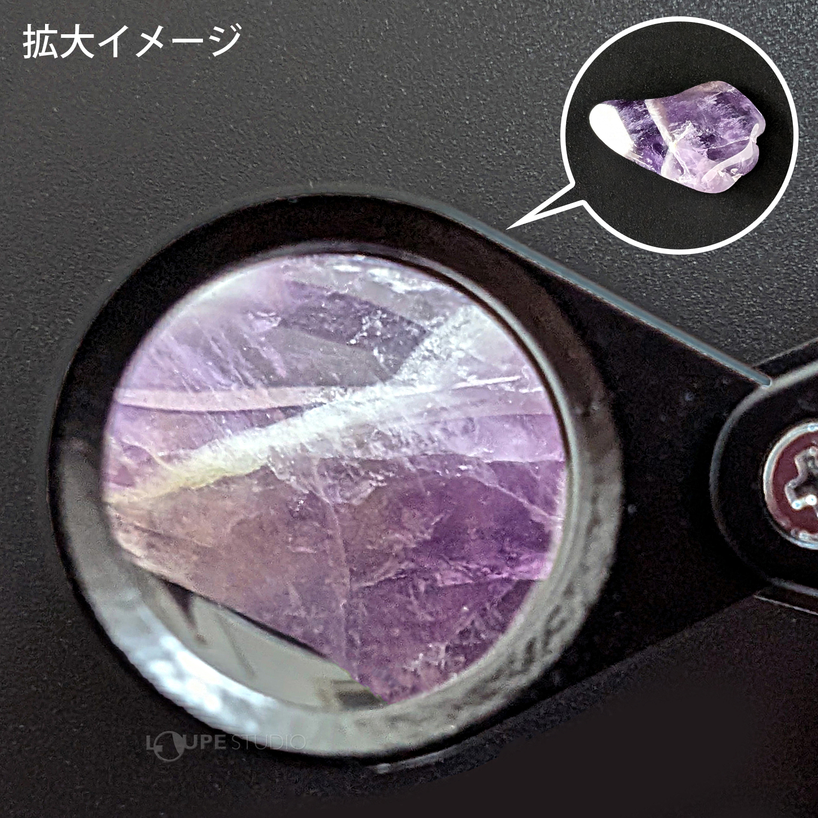 拡大イメージ