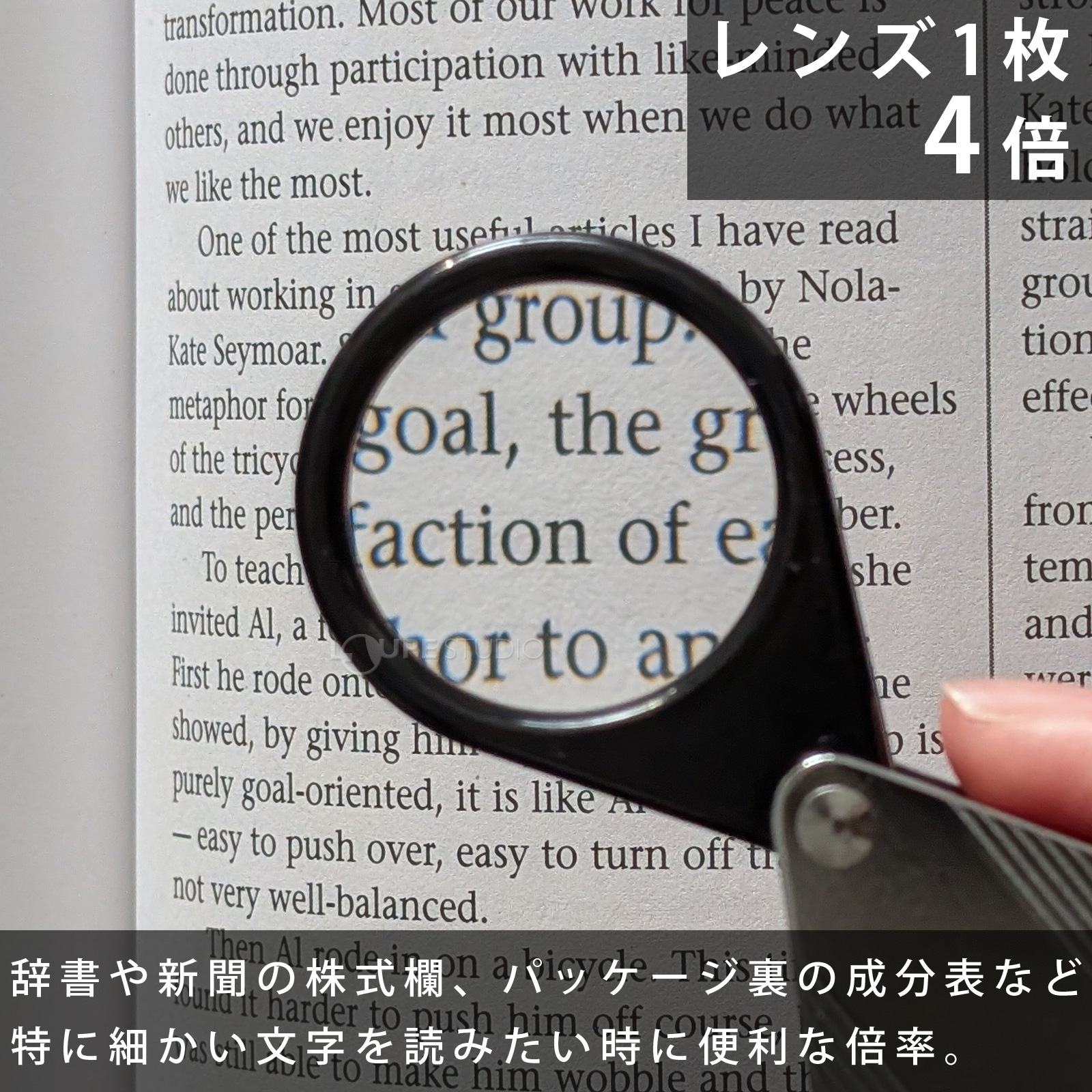 4倍拡大イメージ