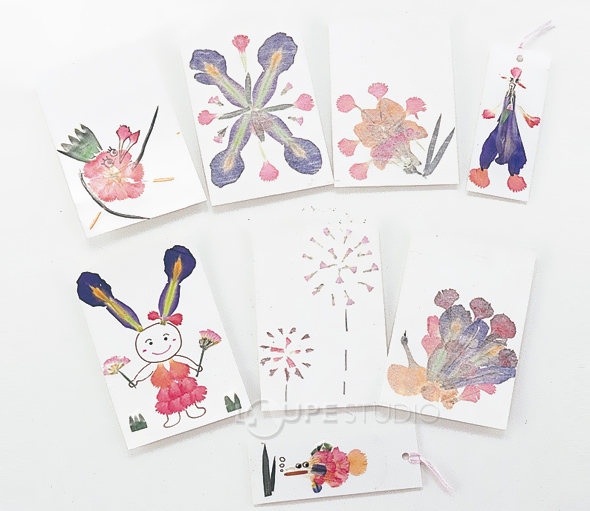 押し花 セット 自由研究 科学 子供 キッズ 幼児 押し花 工作 手作りカード ルーペスタジオ