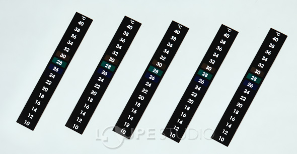 液晶シール温度計 5枚セット 温度計 実験 理科 学校教材 知育玩具 自由研究 ルーペスタジオ