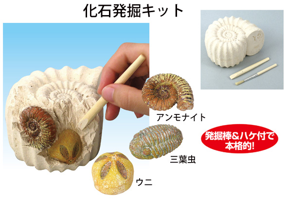 化石発掘キット アーテック アンモナイト 三葉虫 ウニ レプリカ 夏休み 自由研究 体験 科学 工作セット ホビー クリスマスプレゼント ルーペスタジオ