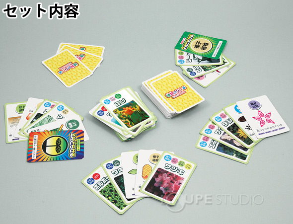植物のなかまカード図鑑 アーテック 植物 図鑑 カード ゲーム 理科 科学 小学生 学習 夏休み 宿題 自由研究 クリスマスプレゼント ルーペスタジオ