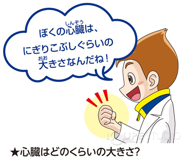 どきどき心臓学習セット 聴診器 心臓 聴診器 観察 体の仕組み 理科 科学 小学生 学習 夏休み 宿題 自由研究 ルーペスタジオ