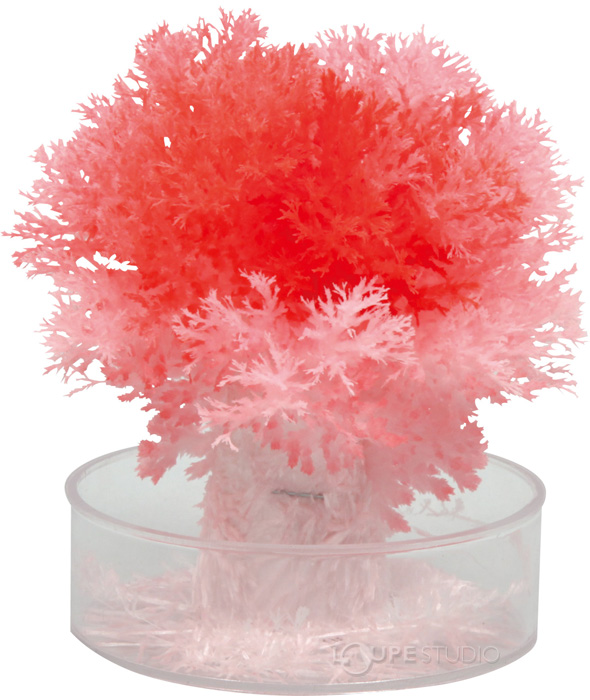 とげとげもこもこ結晶作り実験キット アーテック 結晶 不思議 化学 観察 実験 理科 科学 小学生 学習 夏休み 宿題 自由研究 クリスマスプレゼント ルーペスタジオ