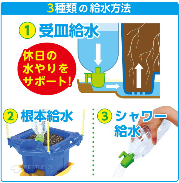 マルチラクラク給水 あさがお支柱付dxセット アーテック 朝顔 アサガオ 栽培セット 支柱 鉢 ジョーロキャップ 種 追肥 土 受け皿 ルーペスタジオ