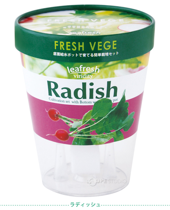 野菜栽培キット フレッシュベジ プレゼント ギフト ガーデニング 栽培キット 野菜 クリスマスプレゼント ルーペスタジオ