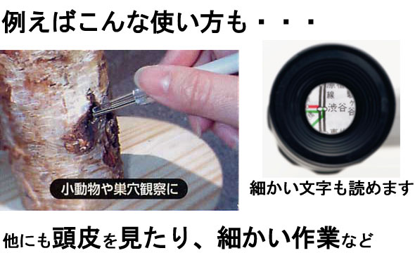 耳かき イヤースコープ Led ライト付 画素 R チタンコイル ののじ耳掻きよりよく取れる 本 電池付 コデン 耳の中 見る イヤスコープ ルーペスタジオ