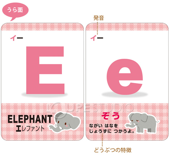 知育玩具 英語カード どうぶつ 教育 ことば カード遊び ゲーム 英語 4歳 5歳 幼児 子供 小学生 ルーペスタジオ