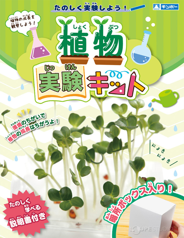 植物実験キット スプラウト 野菜 栽培 夏休み 自由研究 実験セット 子供用 小学生 おもしろ実験 簡単 科学 化学 理科 クリスマスプレゼント ルーペスタジオ