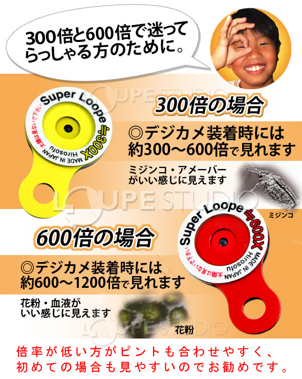 300倍と600倍について 